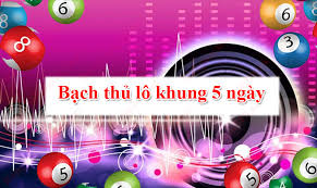 Bạch thủ lô nuôi khung 5 ngày