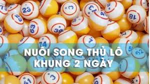 nuôi song thủ lô khung 2 ngày