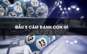 đầu 5 câm đánh lô gì