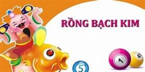 rồng bạch kim 888